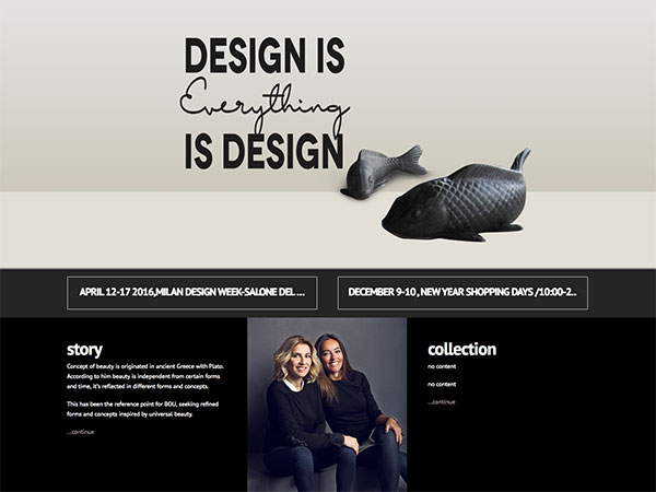 Web project for boudesign