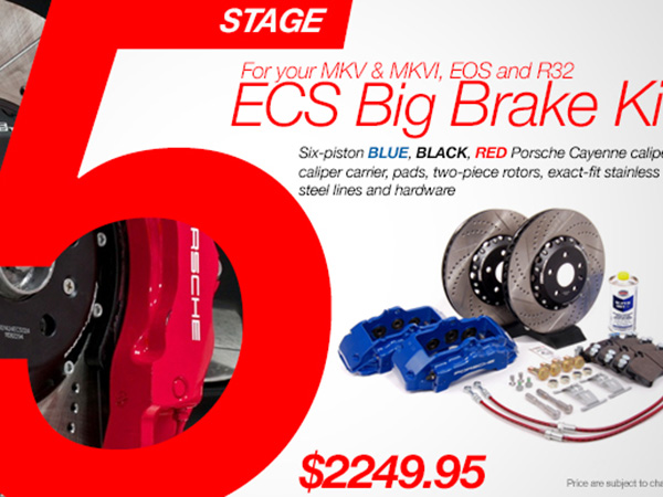 Newsletter project for Ecs Tuning