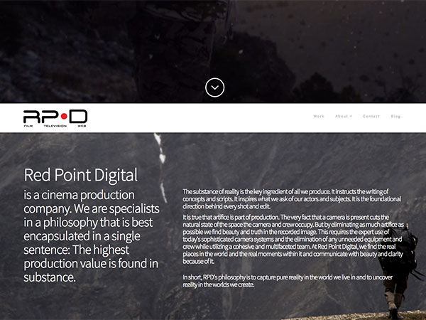 Web project for Red Point Digital